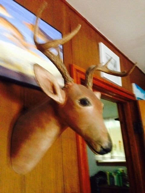Real antlers paired with a carved head - my collection