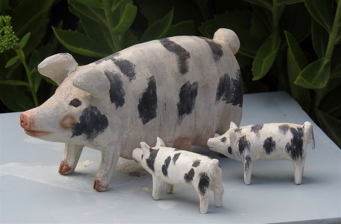 Sow and pigs