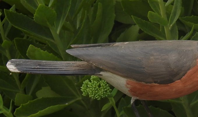 Lifelike Robin with lifelike worm